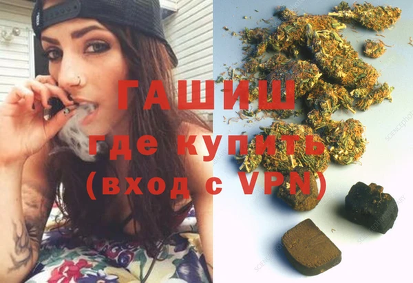 гидропоника Гусиноозёрск