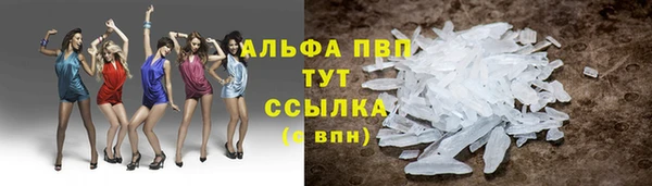 гидропоника Гусиноозёрск