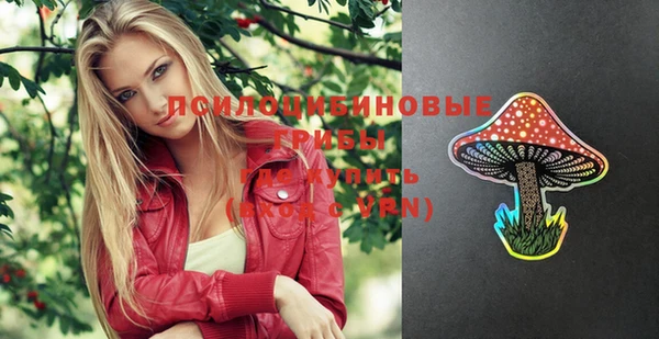 марки nbome Гусев