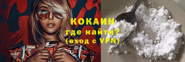 гидропоника Гусиноозёрск