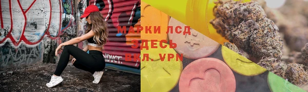 гидропоника Гусиноозёрск